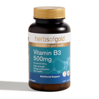 Vitamin B3 500mg