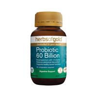 Probiotic 60 Billion 30 Capsules