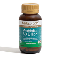 Probiotic 60 Billion 60 Capsules